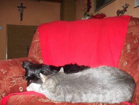 Beny a Muro (číčo)